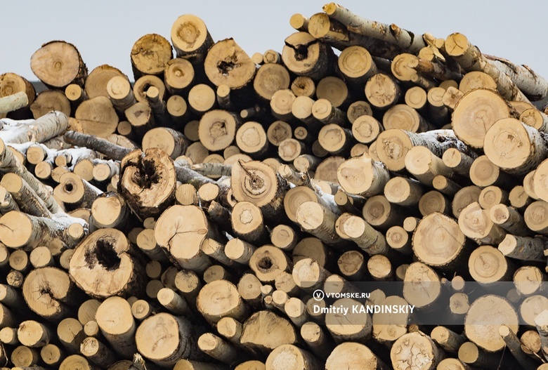 Имущество лесозаготовителя на севере Томской области арестовано за долги на 164 млн руб