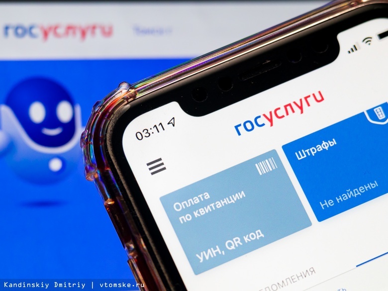 Томичей предупреждают о попытках взлома личных кабинетов на портале госуслуг