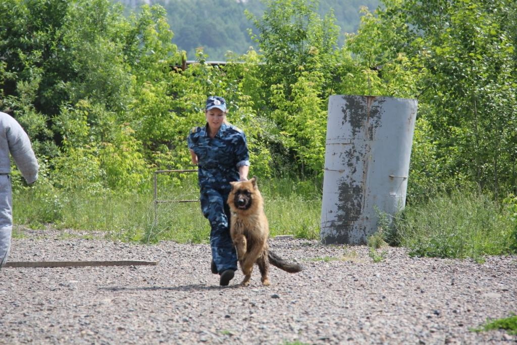 В кинологической службе прошли соревнования (фото)