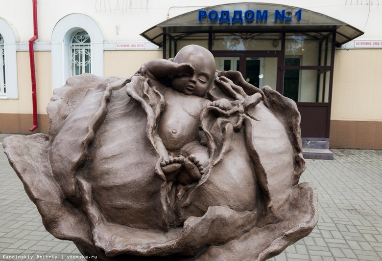 Первым в Томской области в 2024г родился мальчик