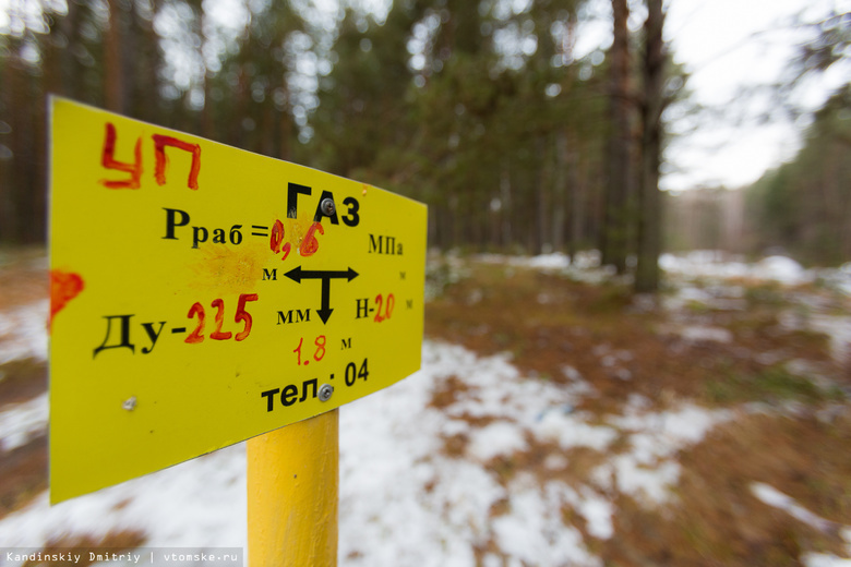 Несколько домов в поселке под Томском могут снести из-за близости к газопроводу