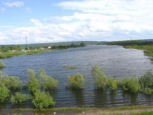 Сенную курью очистят от зарослей и мусора
