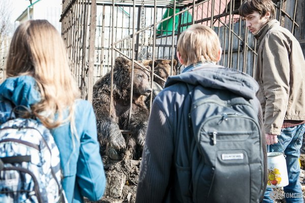 В психиатрической больнице не получали ходатайства о проверке владельца зоопарка «Биос»