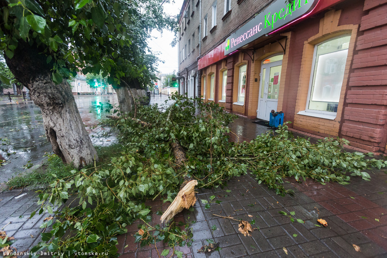 Около тысячи кубометров веток убрали с улиц Томска после урагана