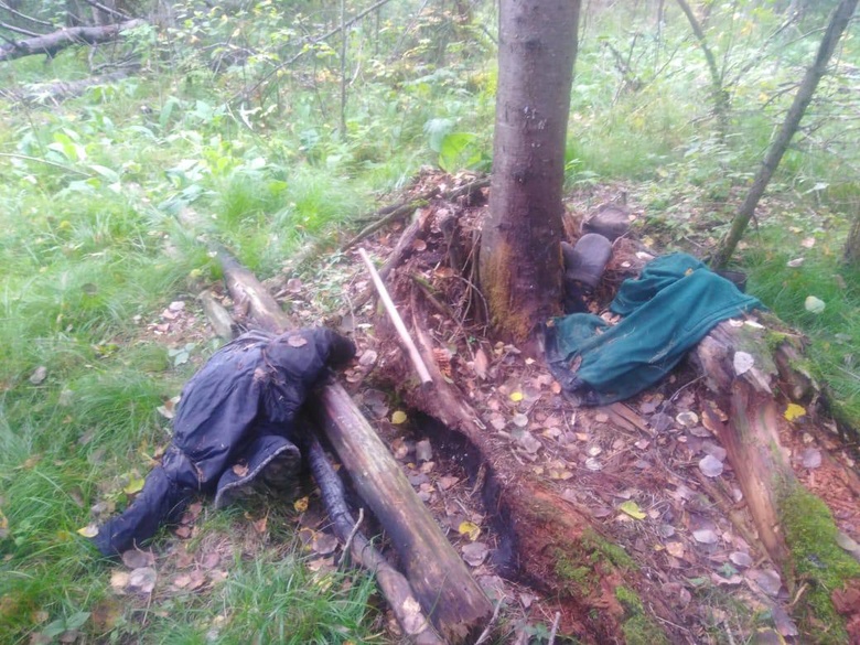 Мужчина нашел в лесу Томской области череп человека