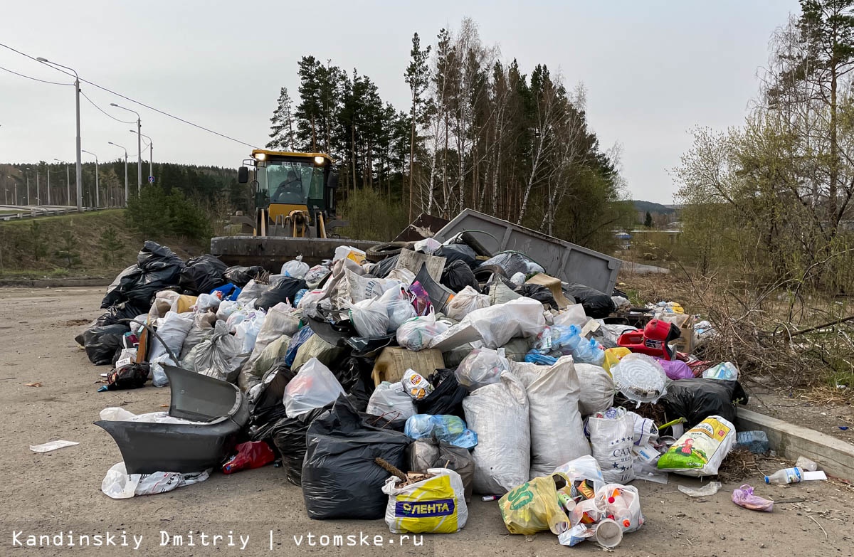 Власти: недобросовестные томичи устраивают свалки на мусорных площадках |  11.05.2023 | Томск - БезФормата