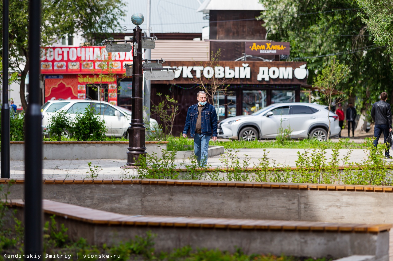 Посадка новых деревьев и кустарников на Усова начнется в августе |  09.06.2020 | Томск - БезФормата