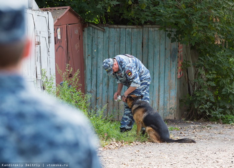 Что известно о пропаже 5-летней девочки в Нижегородской области