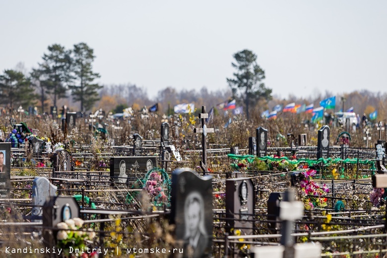 Томские кладбища не обработали от клещей перед родительским днем