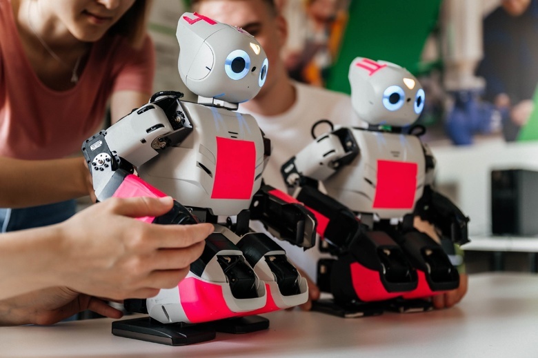 «Погулять» по парку роботов и сделать свой сайт смогут школьники в ТПУ