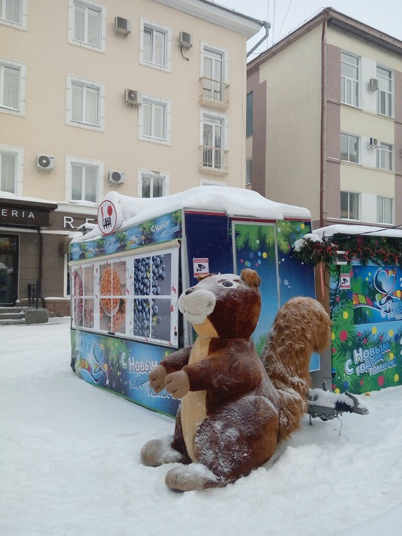 Украденную с ярмарки гигантскую белку нашли в одной из квартир Томска