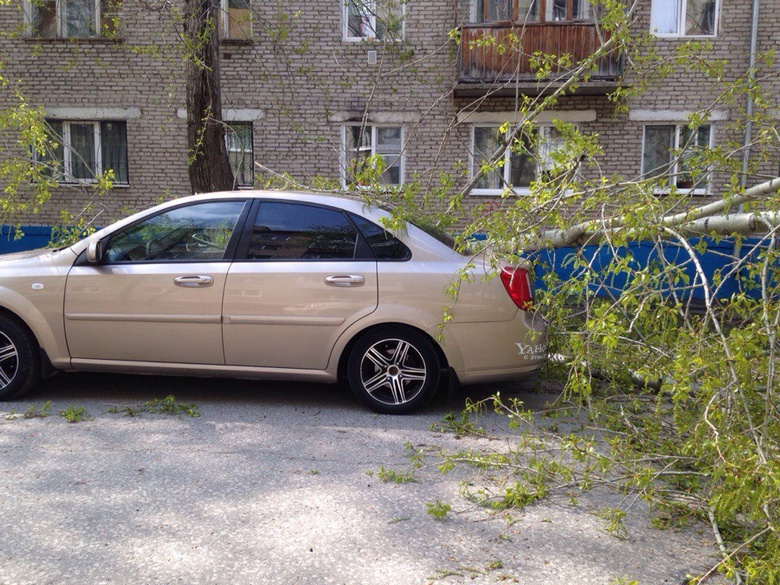 Упавшее дерево перегородило улицу в Кировском районе Томска