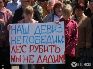 На участке активиста, отстаивающего сосновый бор, вспыхнул пожар