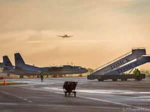 Регион может стать совладельцем «Томск Авиа»