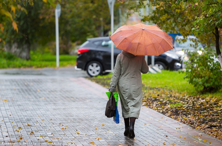 Синоптик: середина октября в Томске будет дождливой