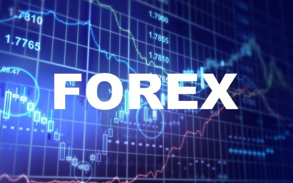 Как добиться успеха на валютной бирже «Форекс»