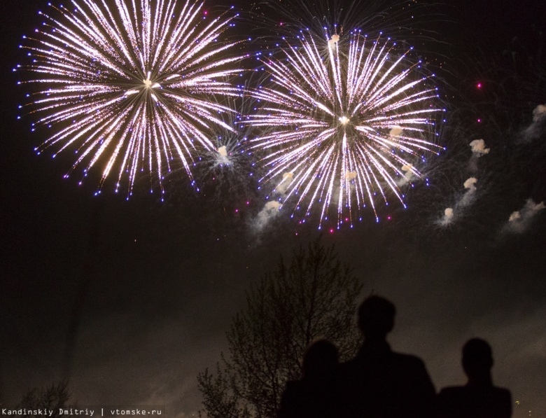 «Мерцающие облака» и «серебряные ивы» увидят томичи на фейерверке в Новый год
