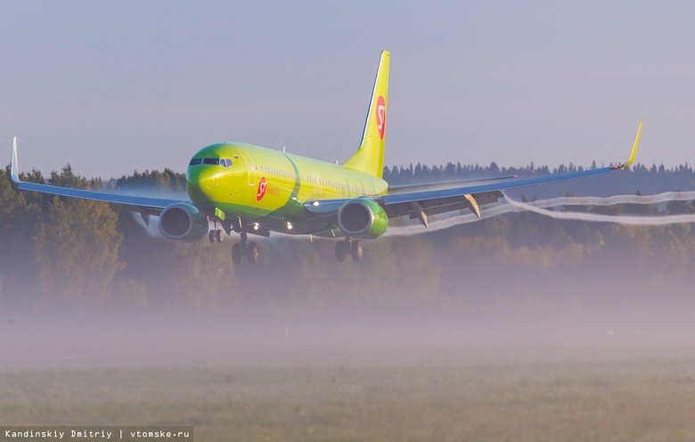 Летевший из Томска в Москву самолет вынужденно сел в Новосибирске