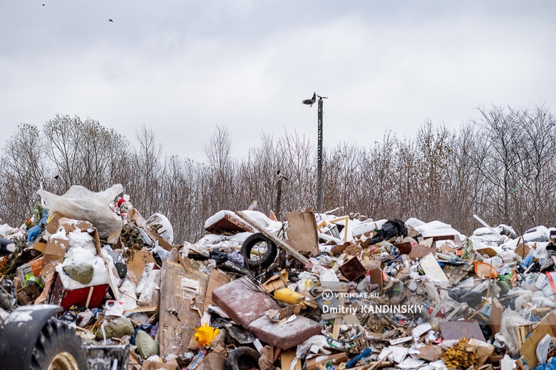 В Томске снова обострилась ситуация с вывозом мусора. Как будет решаться проблема?