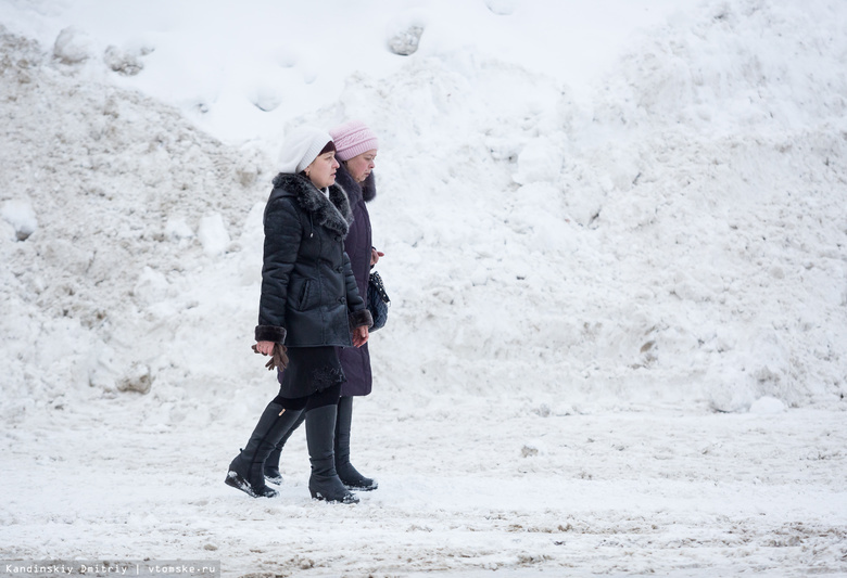 Синоптик: высота снега в Томске почти вдвое выше нормы