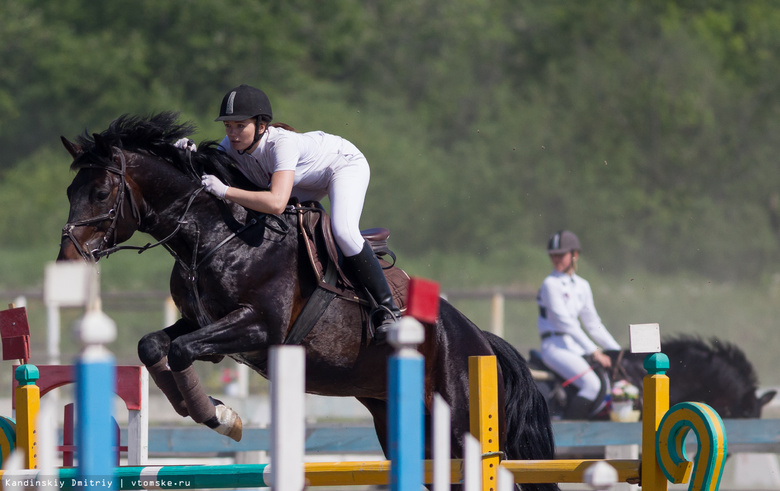 Фотолента: как в Томске проходят соревнования по конному спорту