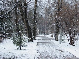 В области ожидаются первые заморозки