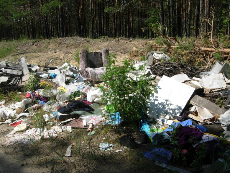Томская прокуратура обязала облдепартамент убрать свалки мусора у озера Лебяжье
