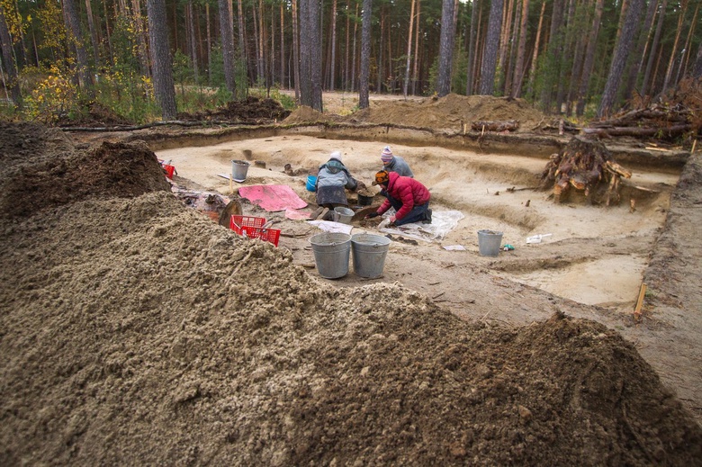 Археологи жалуются на «черных» копателей, которые расхищают могильник под Томском