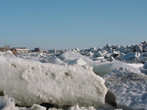 За сутки уровень воды в Томи поднялся на 15 сантиметров