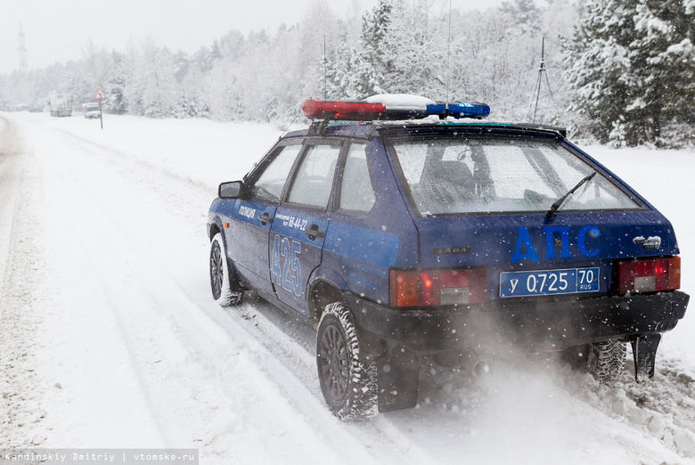 Toyota насмерть сбила лося на томской трассе, водитель в ДТП не пострадал