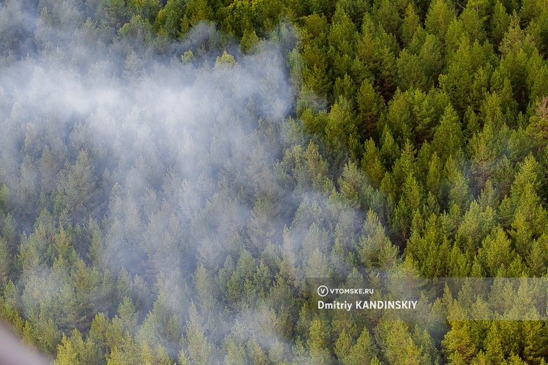 Пожар тушат в Тимирязевском лесничестве