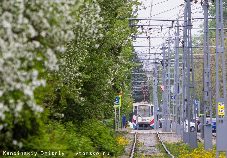 Трамваи трех маршрутов не будут ходить в Томске с 26 июля из-за ремонта путей