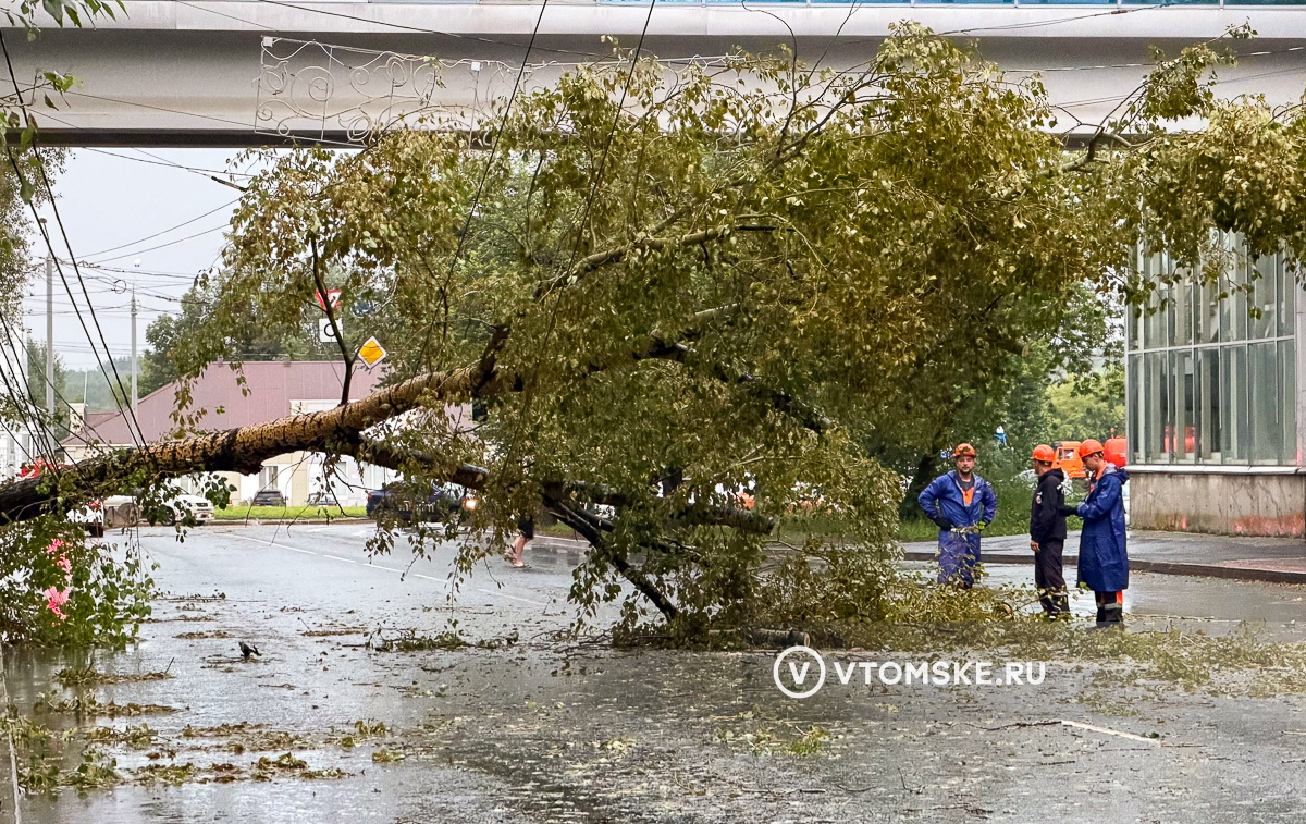 Упавшие деревья, вода на дорогах и пробки: Томск вновь затопило после сильного ливня