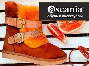 Фотокаталог «Аскания»: тепло и ярко