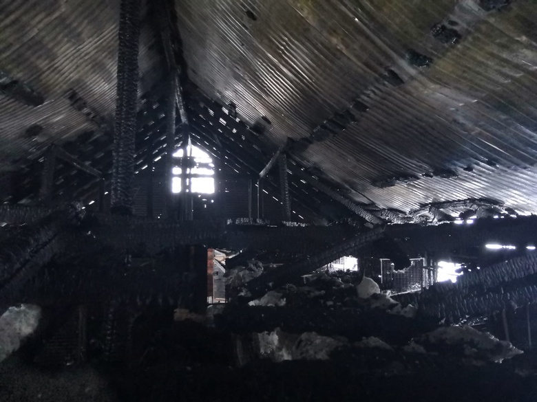 Почти 2 тыс куриц и перепелок погибли при пожаре на ферме в Стрежевом