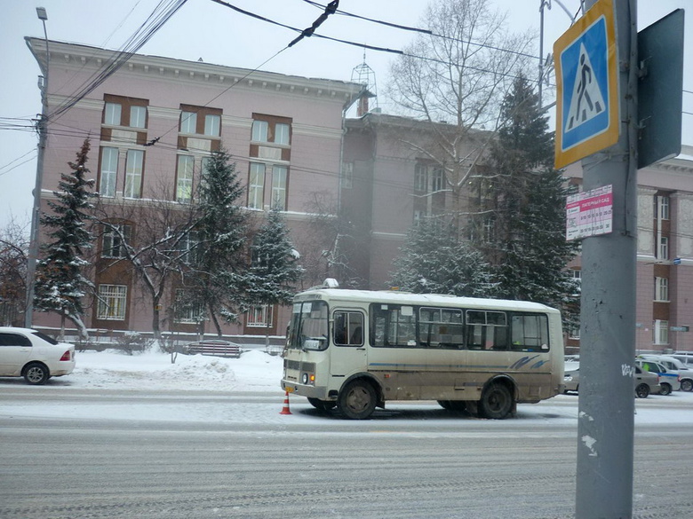 В Томске маршрутка сбила женщину около Лагерного сада