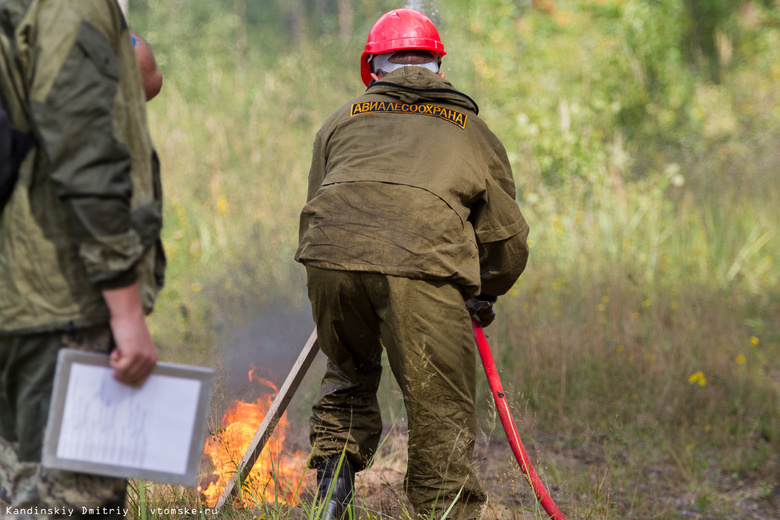 В Томской области снова горит лес