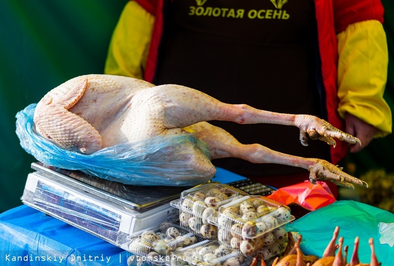 Фермерские мясо, яйца, сыр и мед: ярмарка «Золотая осень» открылась в Томске