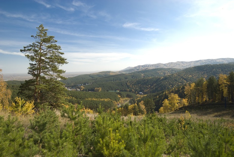 Три способа сохранить здоровье без лекарств (фото)