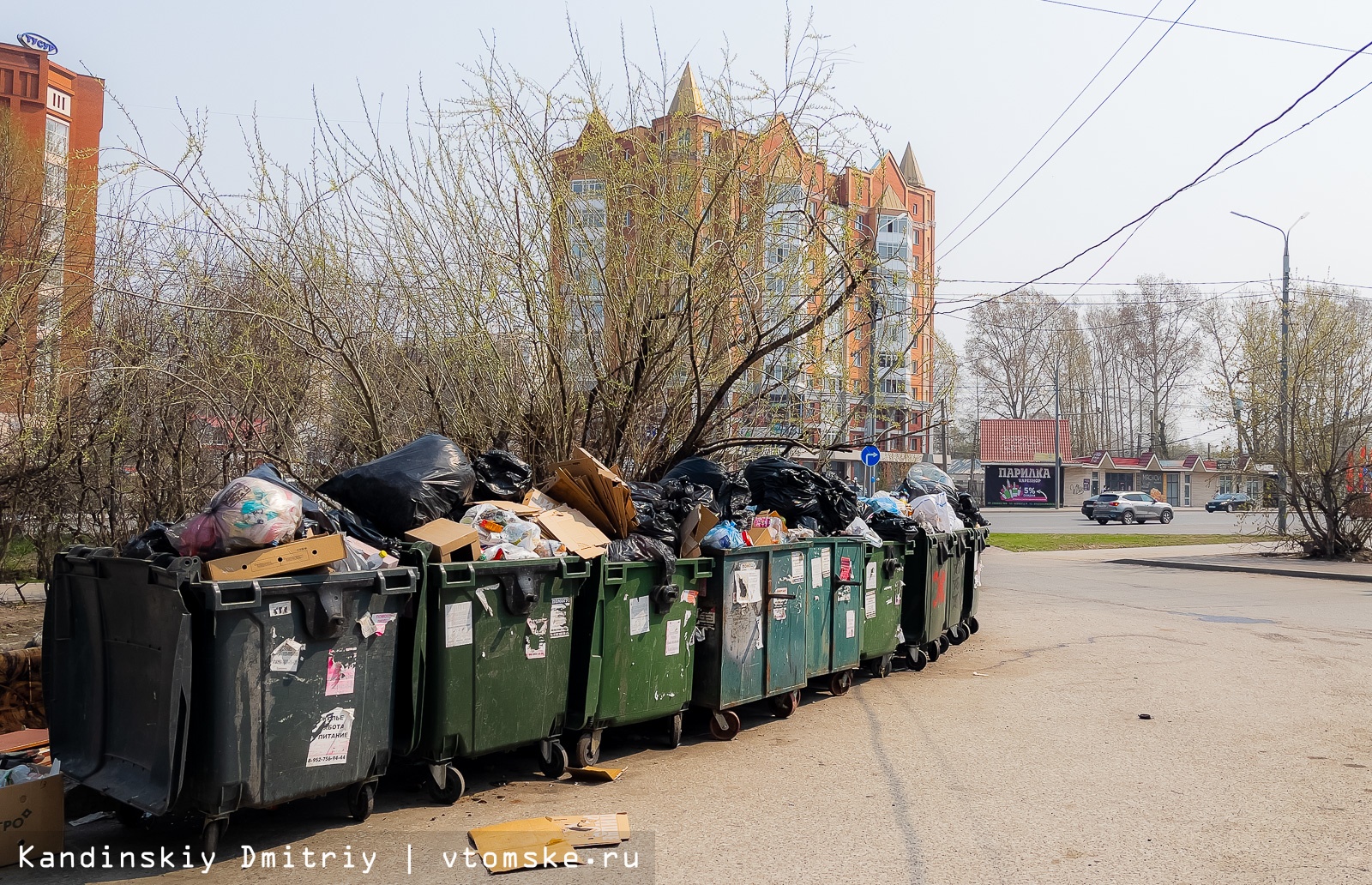 мусор в мусорном баке манга фото 99