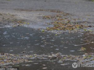 Похолодание продержится в Томске до конца недели