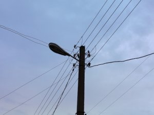 Ночью в городе зафиксированы отключения электроэнергии и падения деревьев