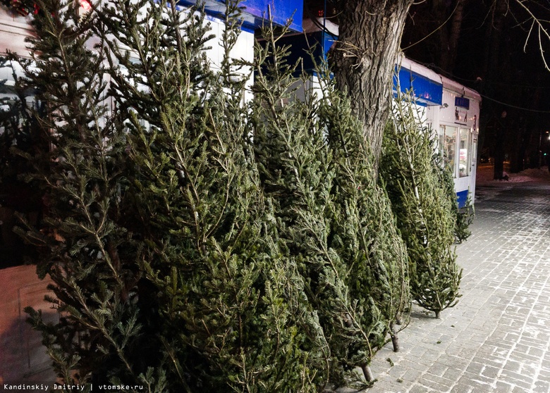 Елочные базары откроются в Томске 15 декабря