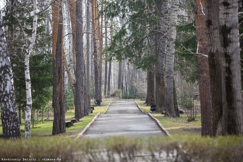 Сезон активности клещей начался в Томской области