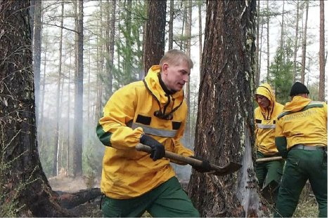 В области продолжают действовать 11 лесных пожаров