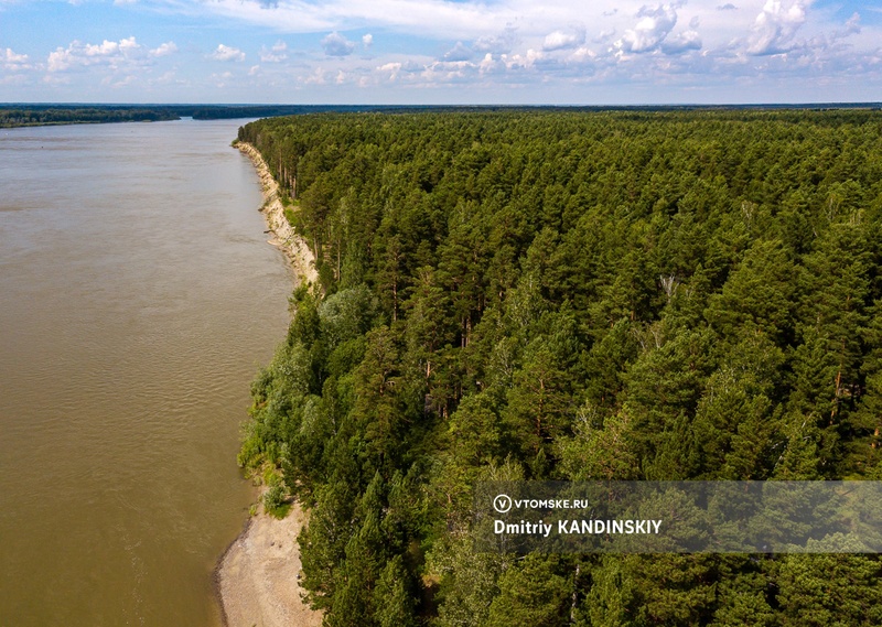 Множество пробирок с кровью нашли на берегу реки в Томской области