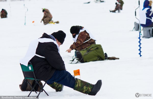 «Народная рыбалка» по-томски: шоу парашютистов, катание на собаках и фокусы для детей