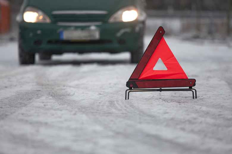 Олень попал под колеса Volkswagen в центре Томска