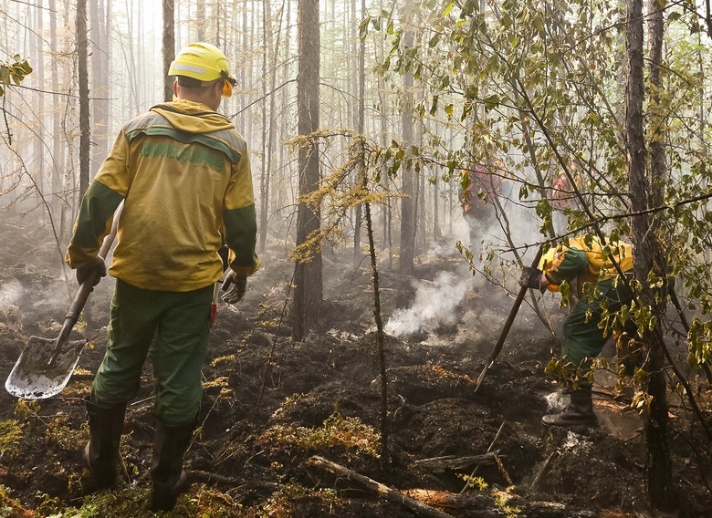 Власти сообщили о сложной ситуации с лесными пожарами на севере Томской области