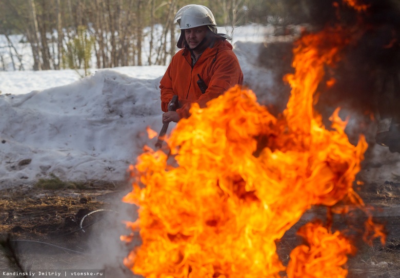 Томская область получила в 4 раза больше денег на борьбу с лесными пожарами в 2022г